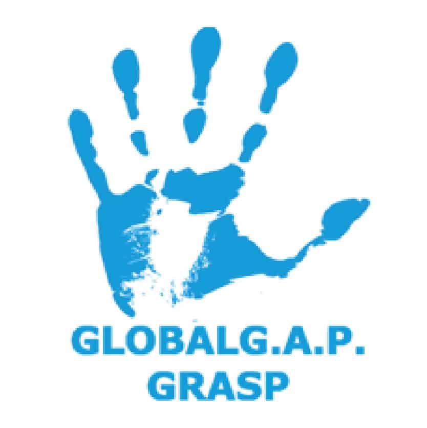 Global GAP Grasp